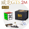 威龍GTS2M黑2