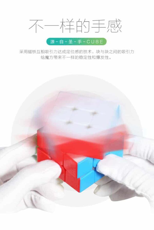 聖手磁先生8