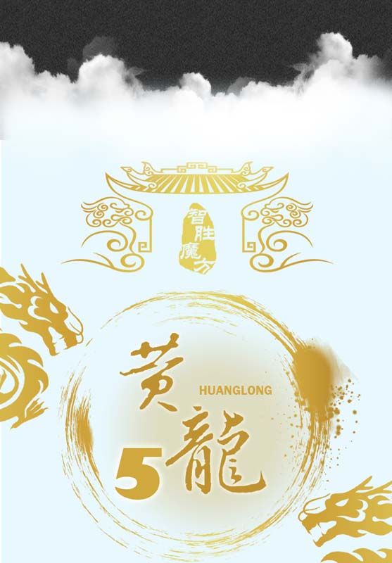 裕鑫 黃龍 五階 磁力 M 黃龍M 5階 魔術方塊 速解 魔方 裕鑫科教 智勝 益智玩具